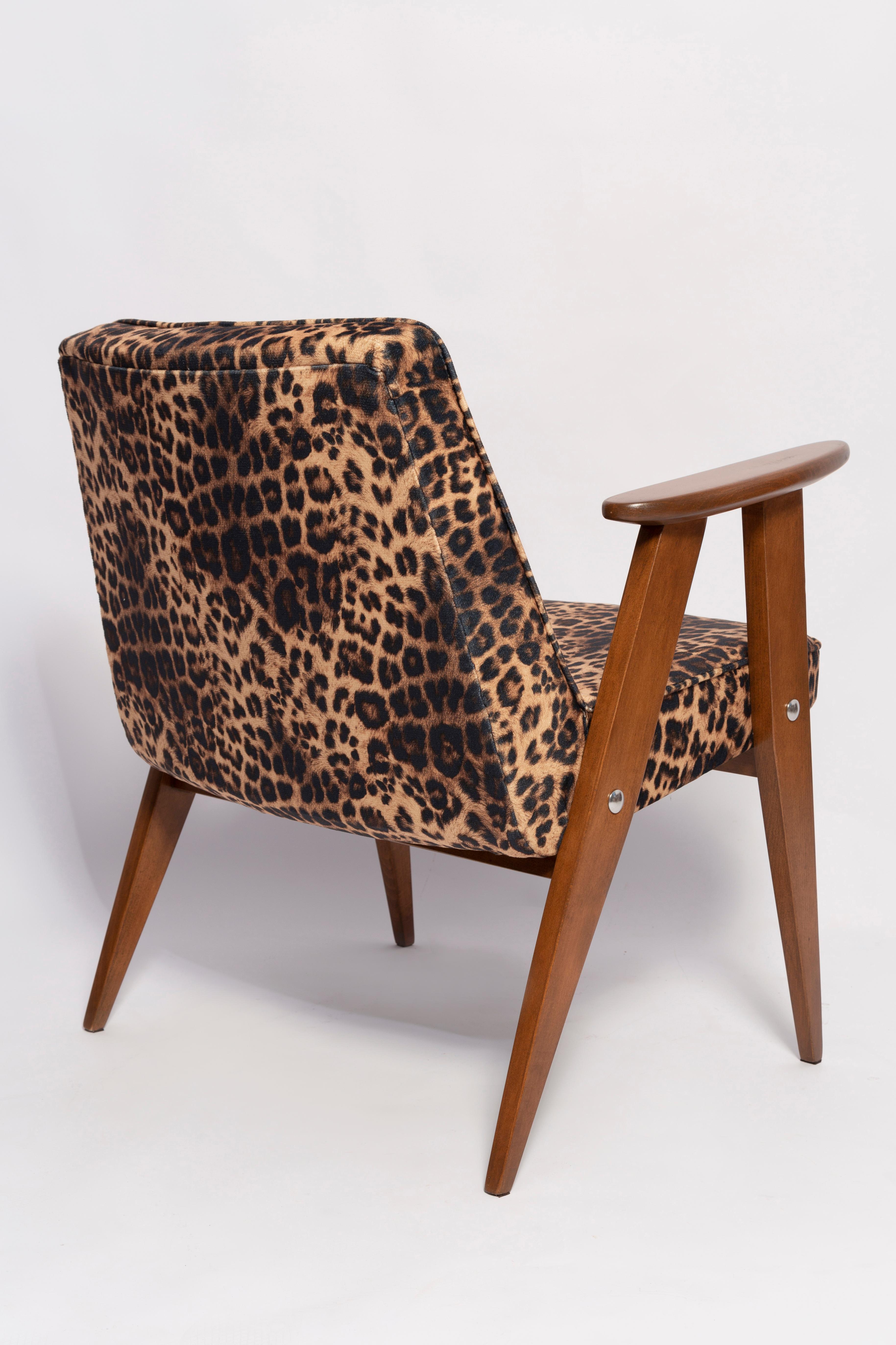 20th Century Mid-Century 366 Armchair in Leopard Print Velvet, Jozef Chierowski, Europe 1960s For Sale
