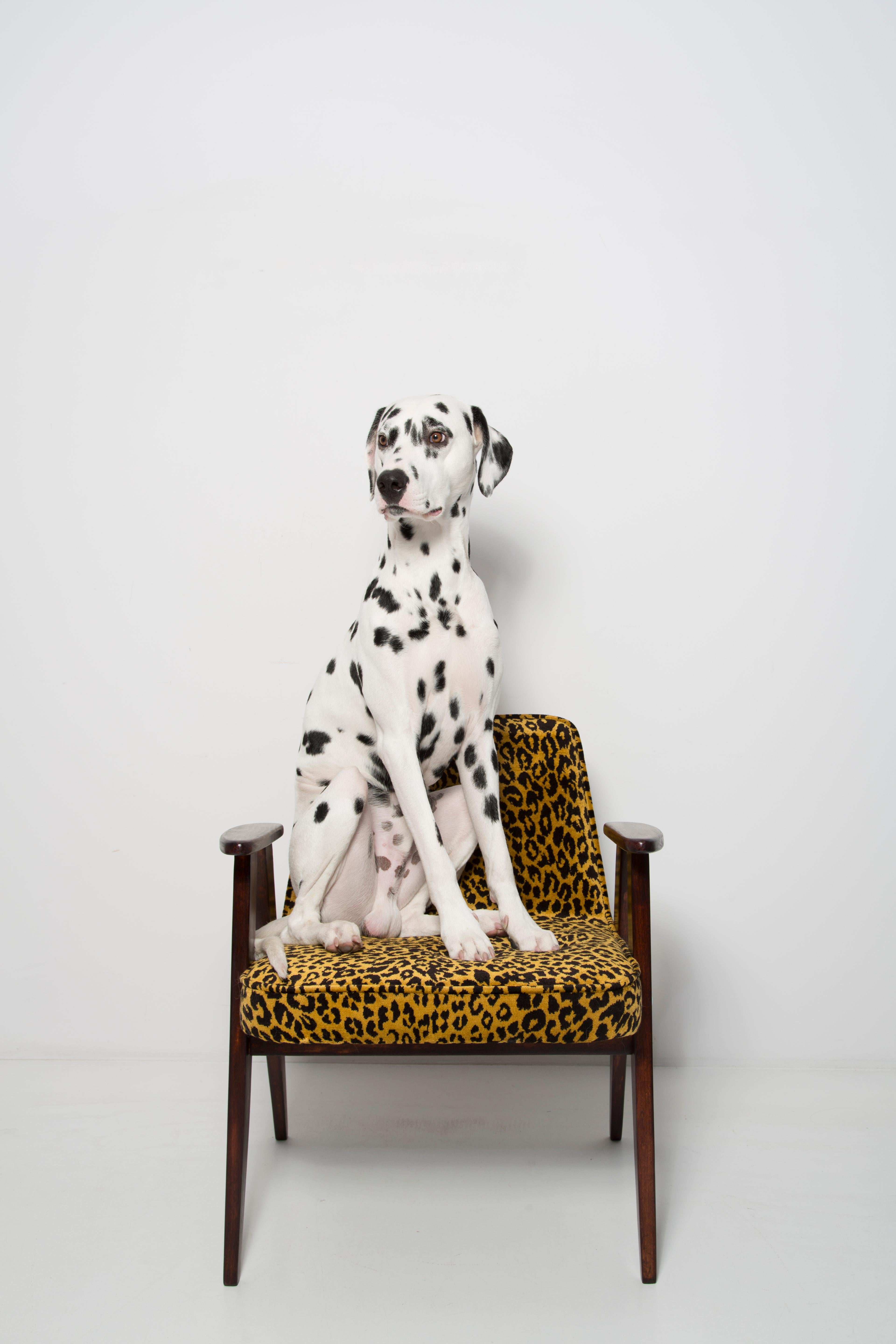 Hand-Crafted Mid-Century 366 Armchair in Leopard Velvet, Jozef Chierowski, Europe 1960s For Sale