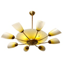 Mid-Century 8-Arm Brass Chandelier from Meissen, Germany, 1950s