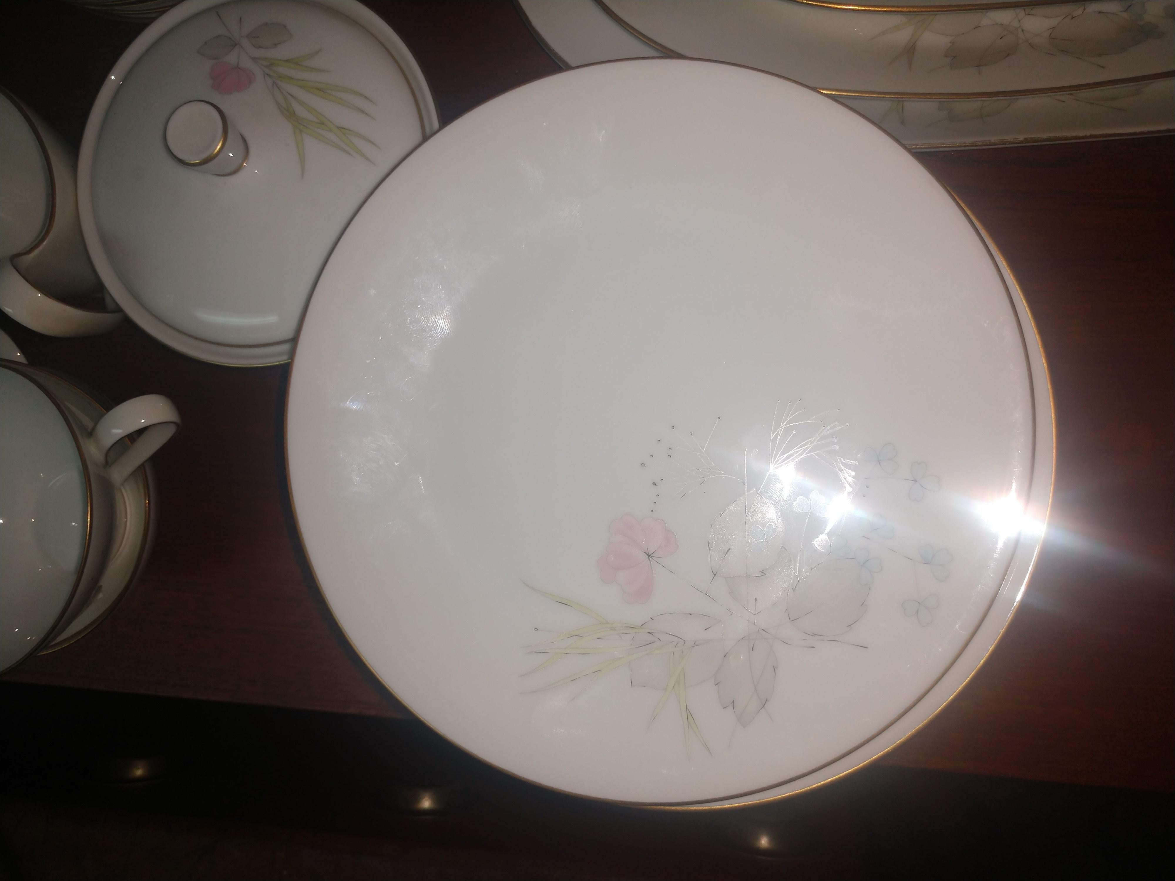 Mid-20th Century Mid Century 99 Piece Set of Porcelain China Rosenthal Parisian Spring Germany For Sale