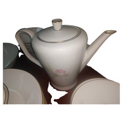 Mid Century 99 Piece Set of Porcelain China Rosenthal Parisian Spring Germany