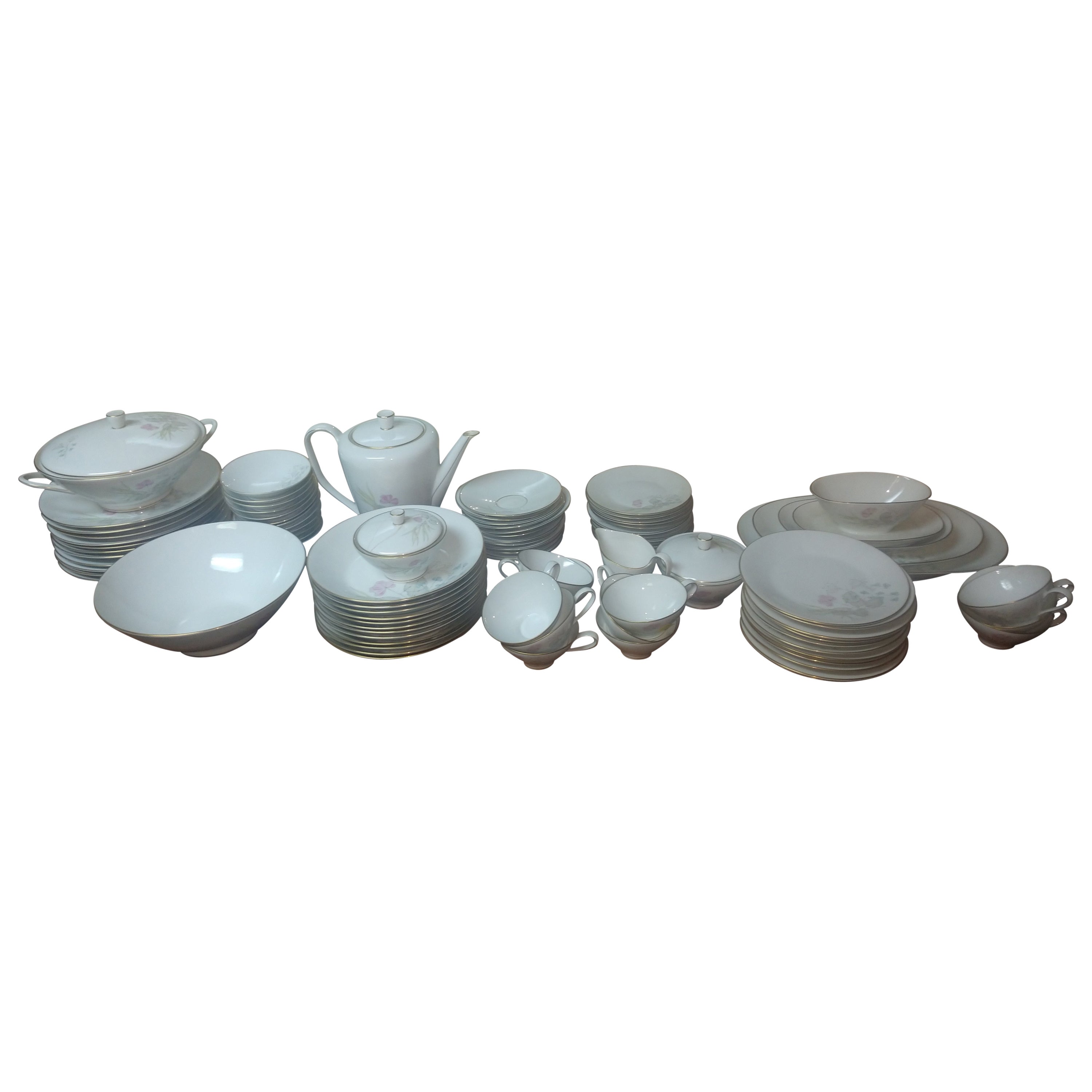 Mid-Century moderno Set di 99 pezzi di porcellana della metà del secolo scorso Rosenthal Parisian Spring Germania in vendita
