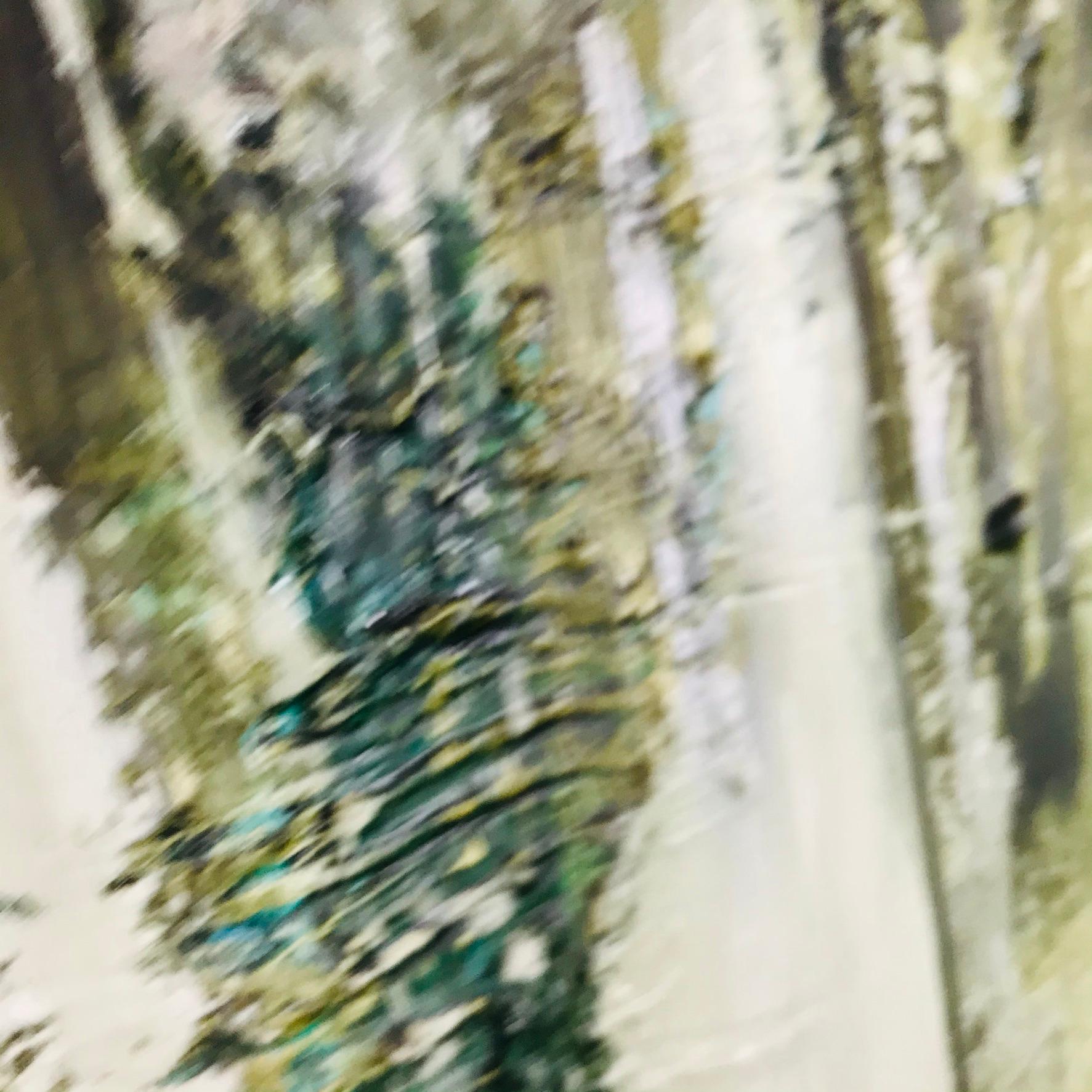 Mid-20th Century Midcentury Abstract Oil Painting by Elva Levy