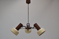 Midcentury Adjustable Chandelier by Napako, 1970s