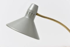 Verstellbare Goosehals-Schreibtischlampe, Hala Zeist, 1960er Jahre, Mid-Century