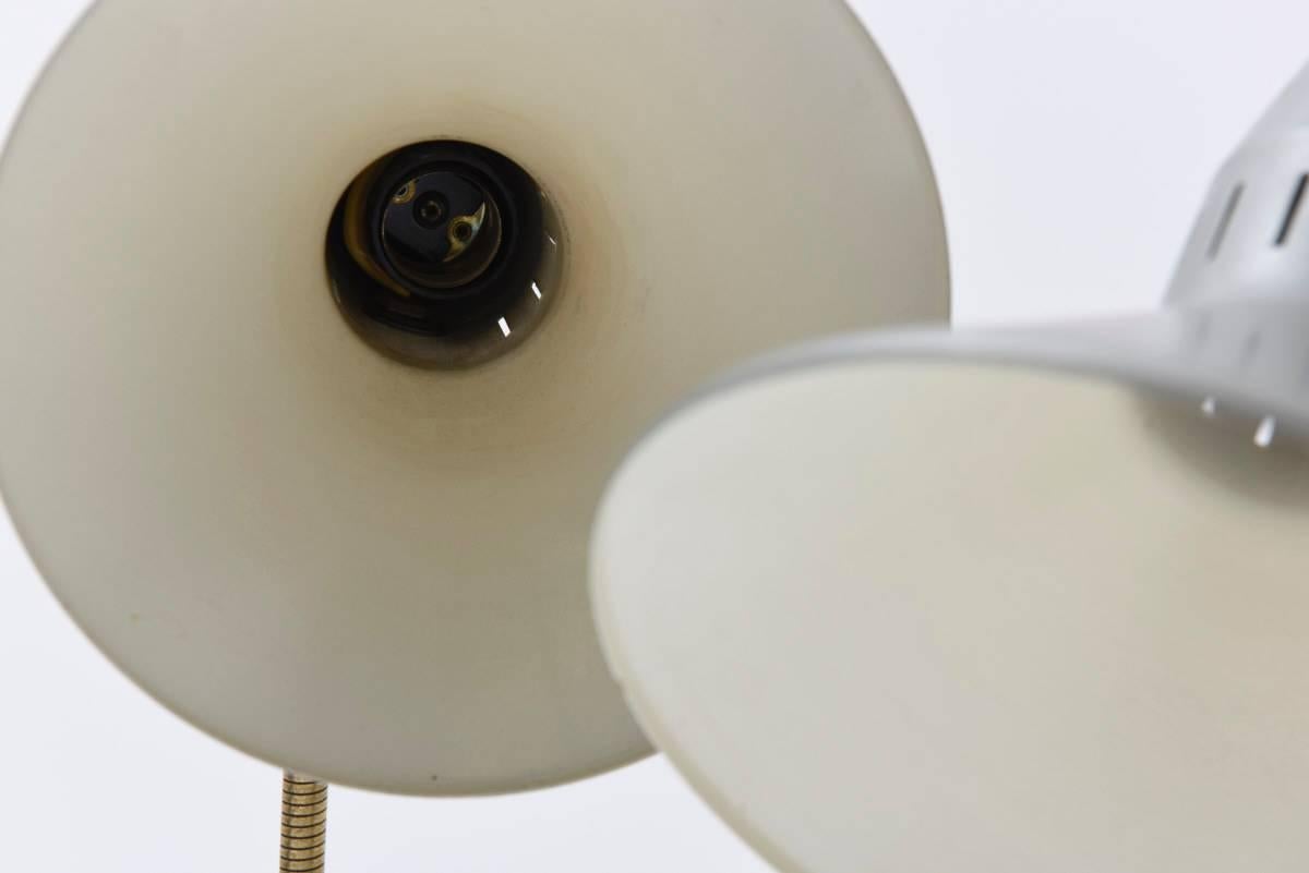 Dutch Mid-Century Adjustable Goose Neck Desk Lamp, Hala Zeist, 1960s