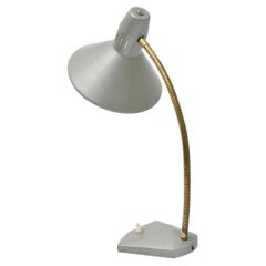 Mid-Century Adjustable Goose Neck Desk Lamp, Hala Zeist, 1960s