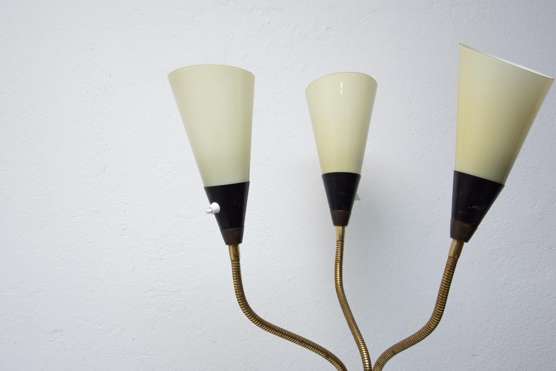 Glass Mid Century Adjustable Gooseneck Floor Lamp, Brussels Period, 1960´s For Sale