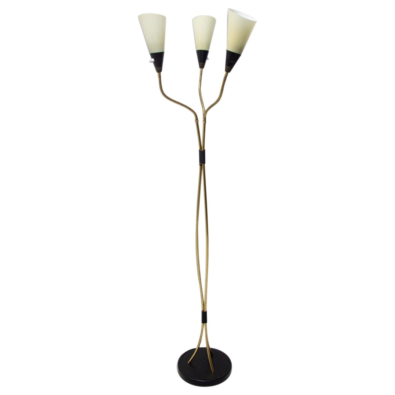 Mid Century Adjustable Gooseneck Floor Lamp, Brussels Period, 1960´s For Sale