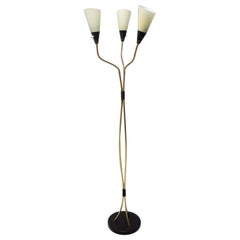 Lampada da terra a collo d'oca regolabile del Mid Century, periodo di Bruxelles, 1960