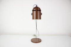 Mid-Century Adjustable Table Lamp by Stanislav Indra, 1970's