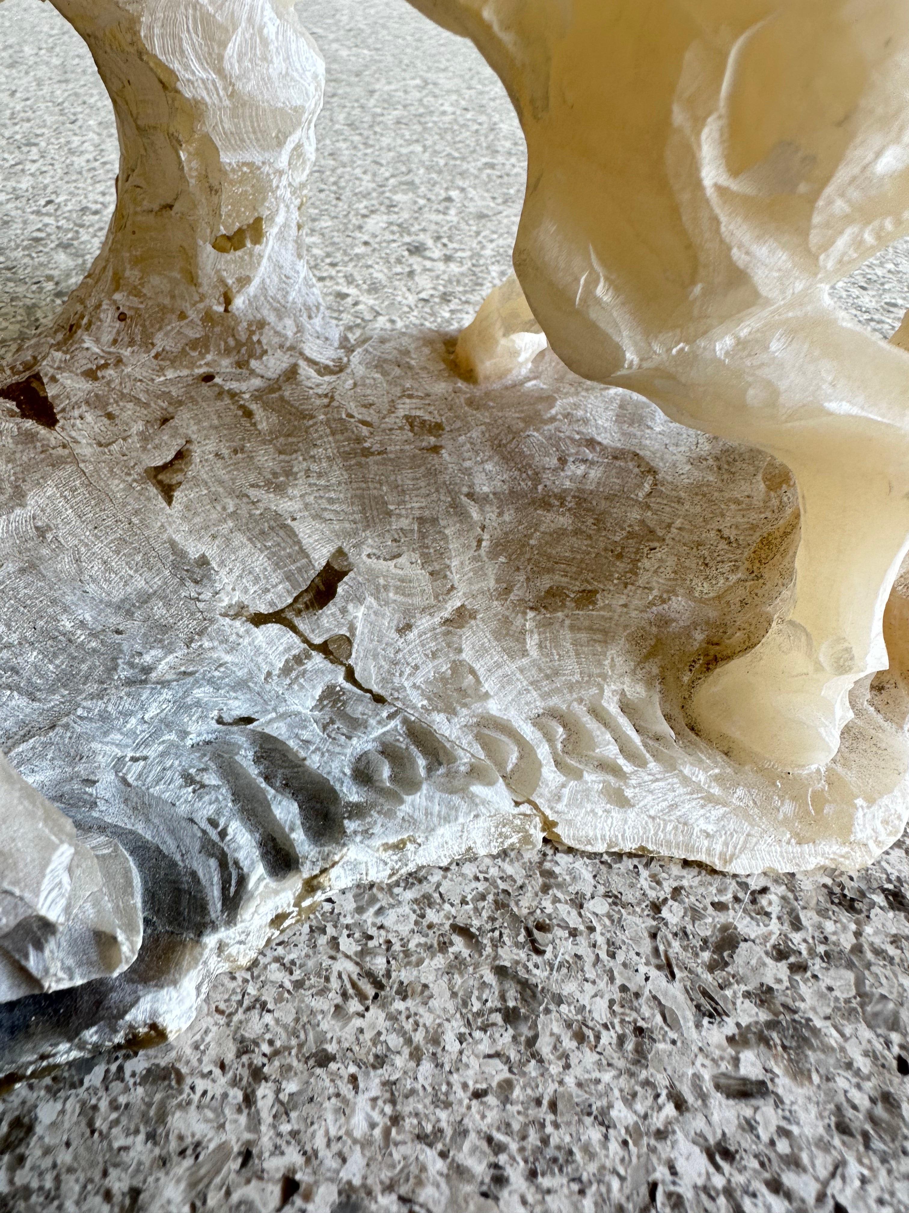 Alabaster-Pferde-Skulptur aus der Jahrhundertmitte von Boldrini aus Italien, 1960er Jahre im Zustand „Gut“ im Angebot in Byron Bay, NSW