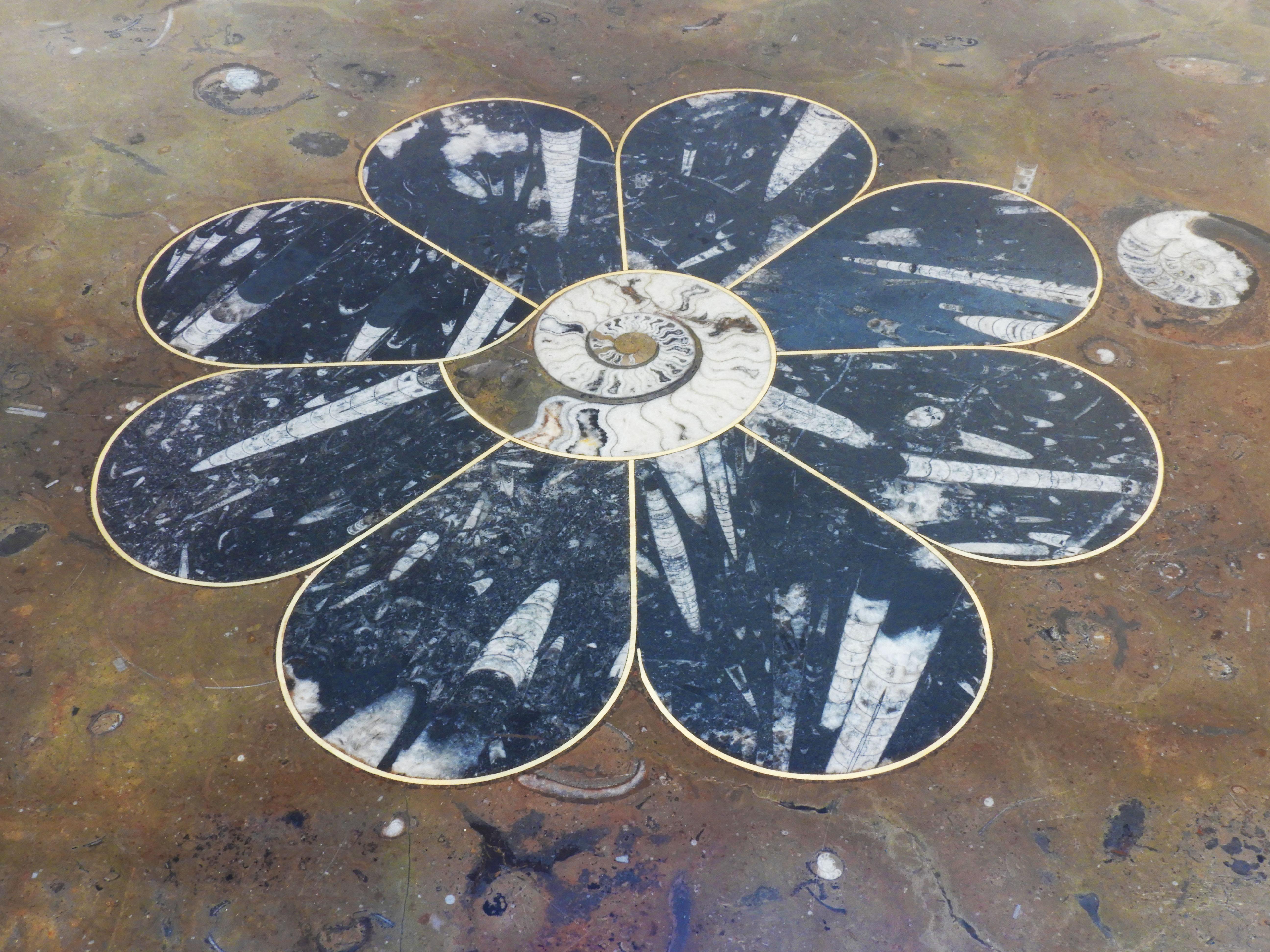 Mid Century Ammonite and Orthoceras Fossil Marble Coffee Table C1970s France For Sale 1