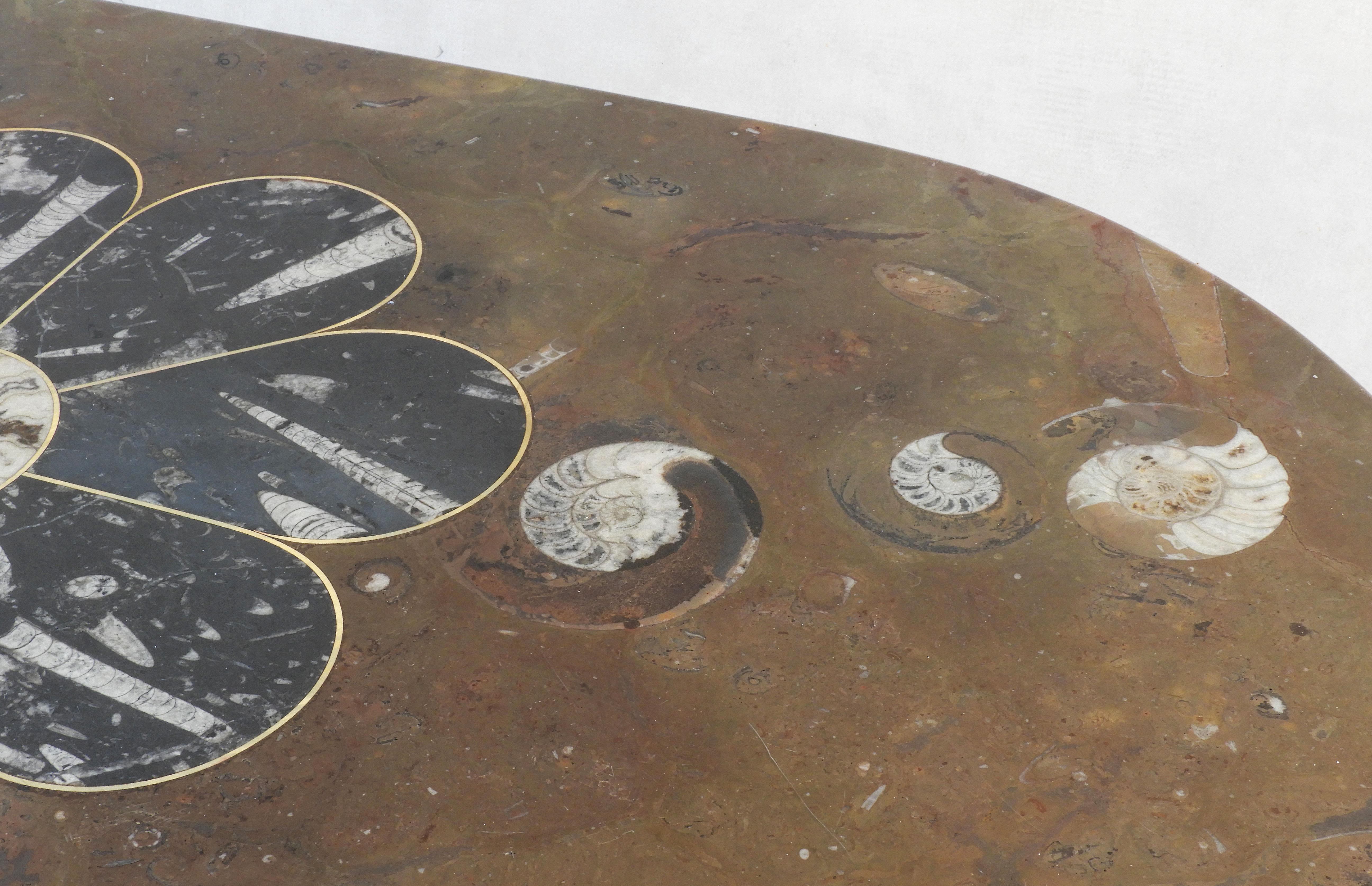 Table basse en marbre fossile d'ammonite et d'orthocère du milieu du siècle dernier C1970s France en vente 1