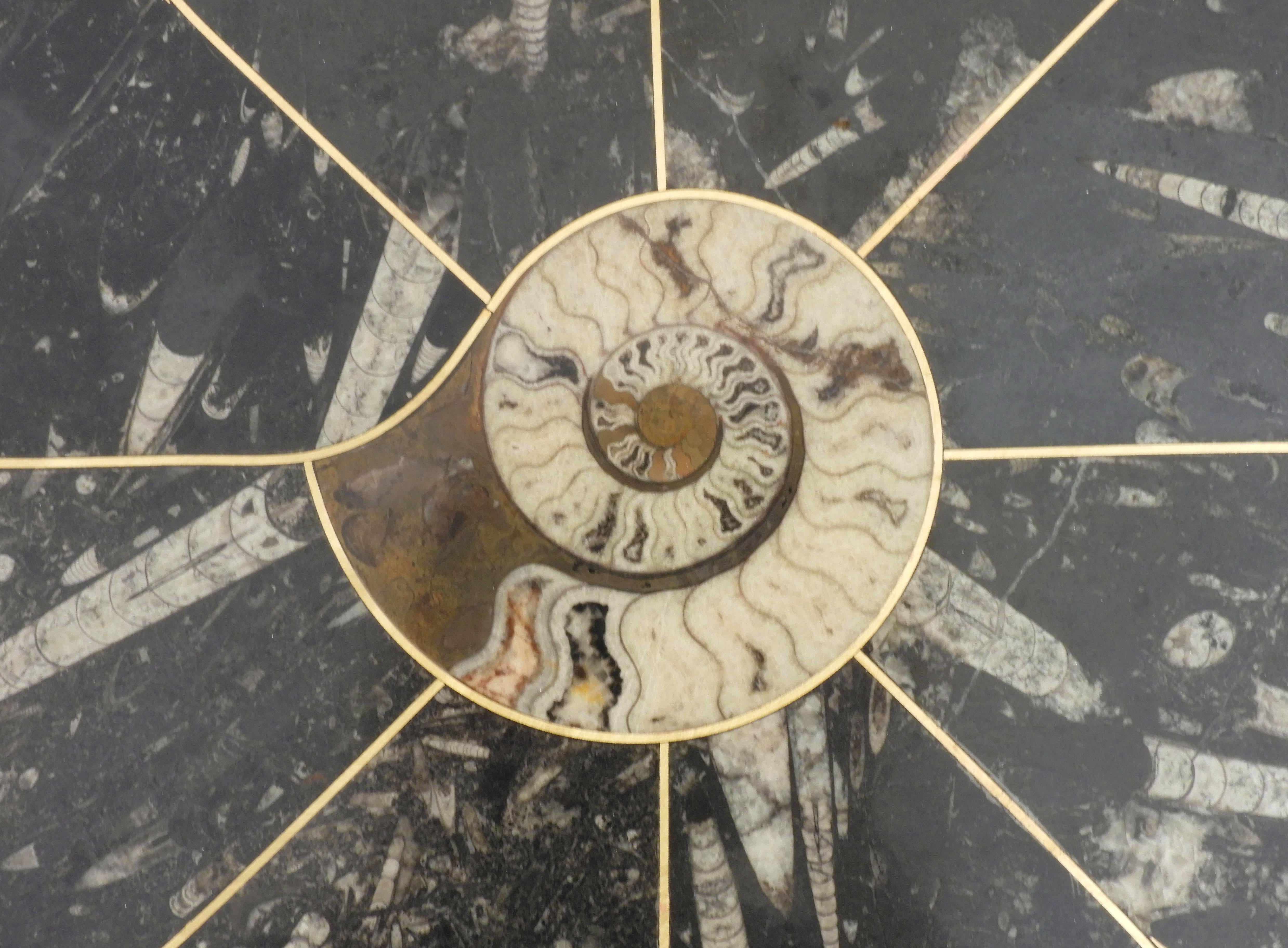 Table basse en marbre fossile d'ammonite et d'orthocère du milieu du siècle dernier C1970s France en vente 3