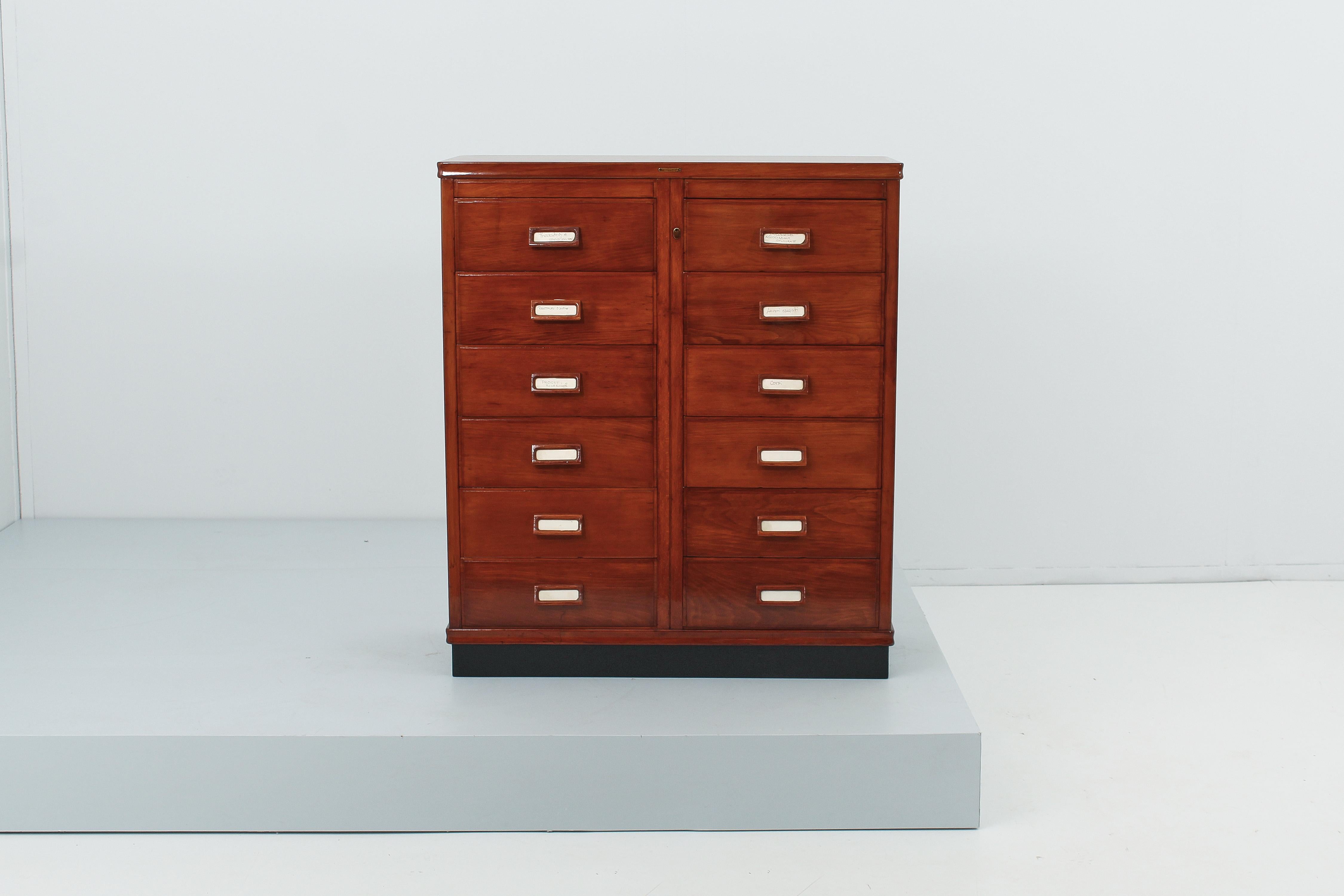 Mid-Century Modern Mid-Century Anonima Castelli Chest of Drawers Archive Cabinet, Italy 40s