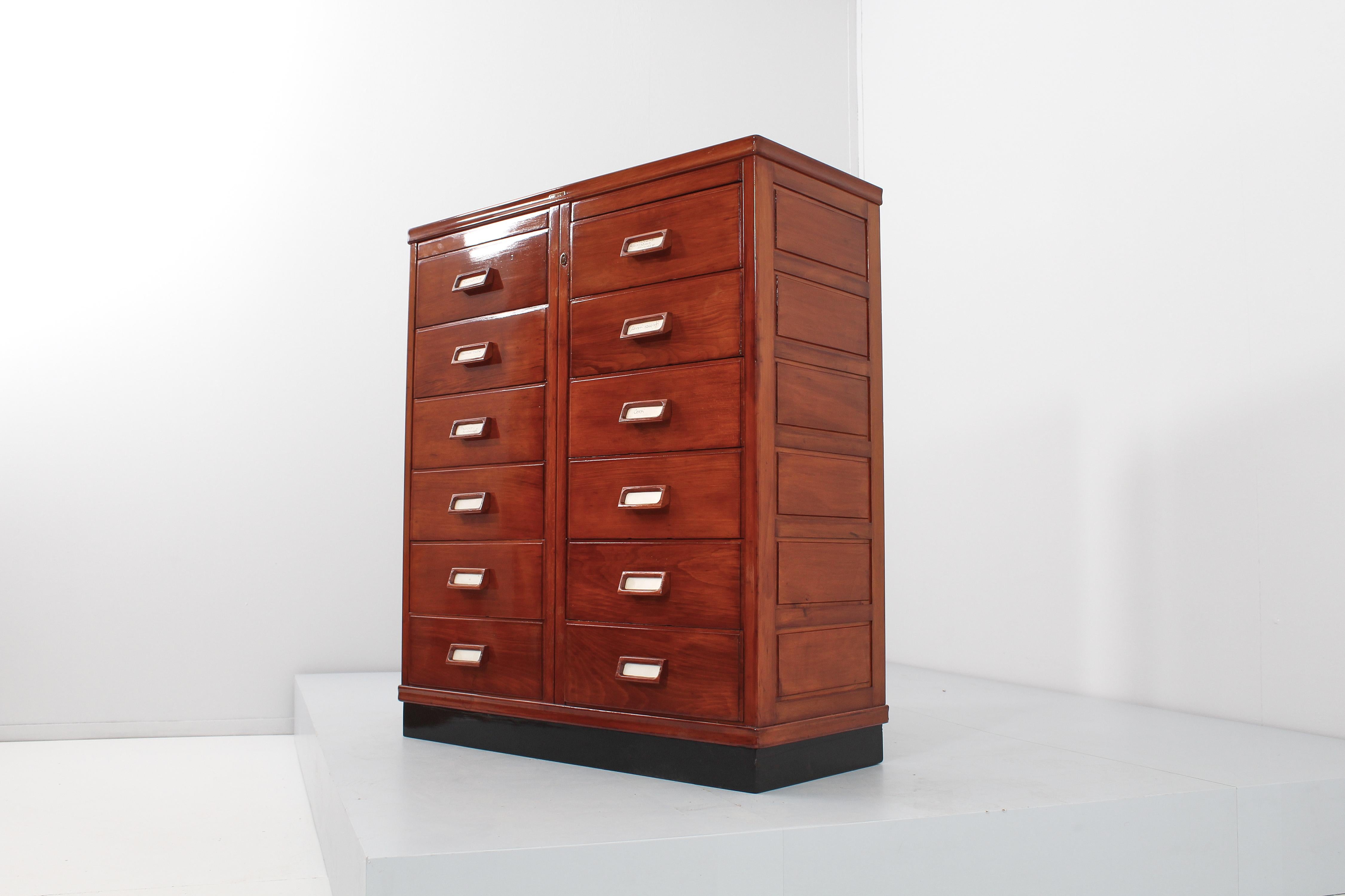 Mid-Century Anonima Castelli Chest of Drawers Archive Cabinet, Italy 40s 1