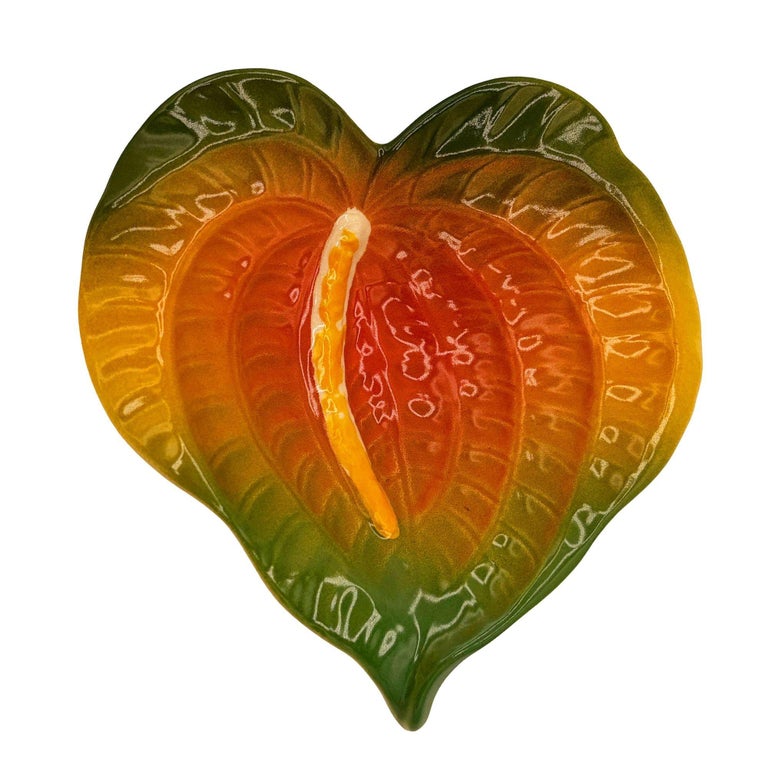 queen of hearts anthurium Anthurium Queen of Hearts 6