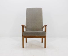 Sessel aus der Mitte des Jahrhunderts aus Tschechien, 1960er Jahre