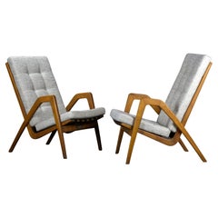 Mid Century Armchairs / Easy Chairs by Jan Vanek for ULUV Czechoslovakia, 1950s