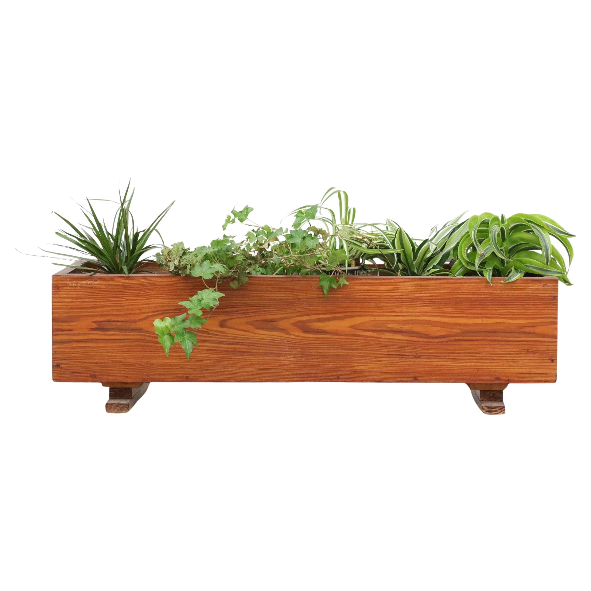 Mid-Century Ate van Apeldoorn Stil Rechteckig Dunkel getönte Kiefer Pflanzgefäß im Angebot