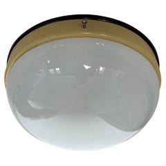 Midcentury Bakelite / Glass Ceiling Lamp/Flush Mount or Wall Lamp, 1960s
