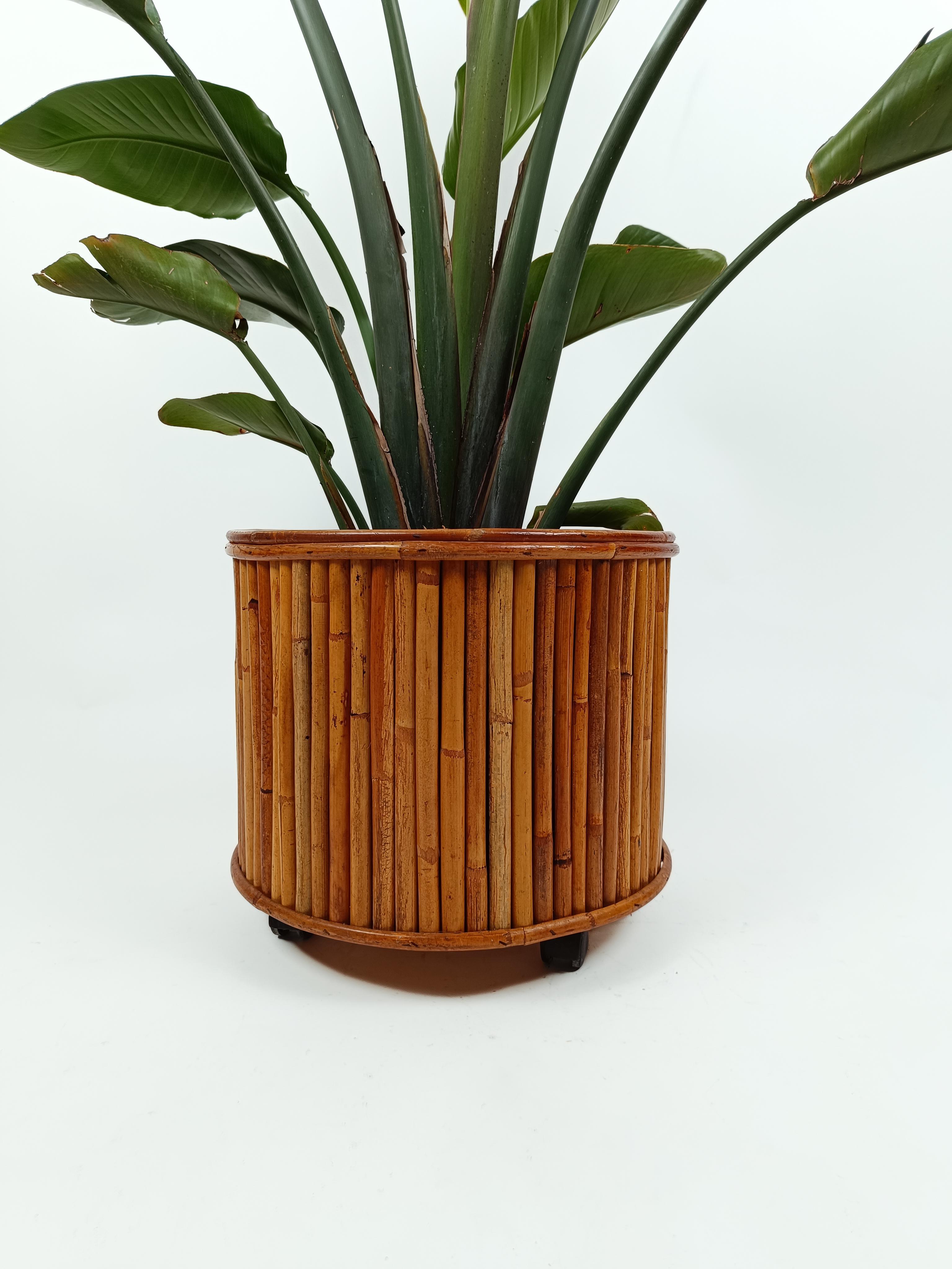 MId Century Bamboo, Cane and Rattan Cachepot Vase Plant Holder , Italy 1970s 14