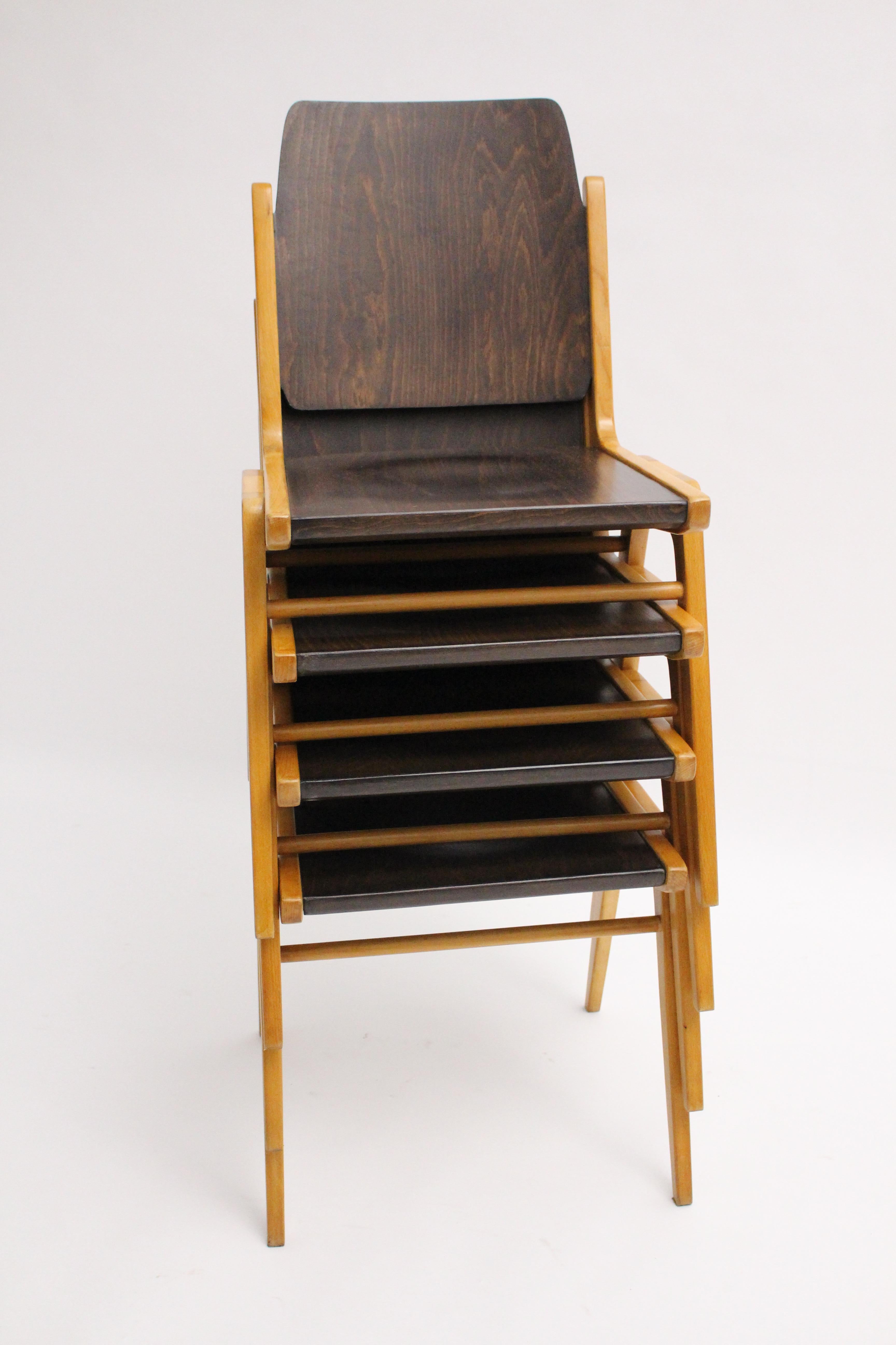 Austrian Mid Century Beech Bicolor Beech Four Dining Chairs Franz Schuster