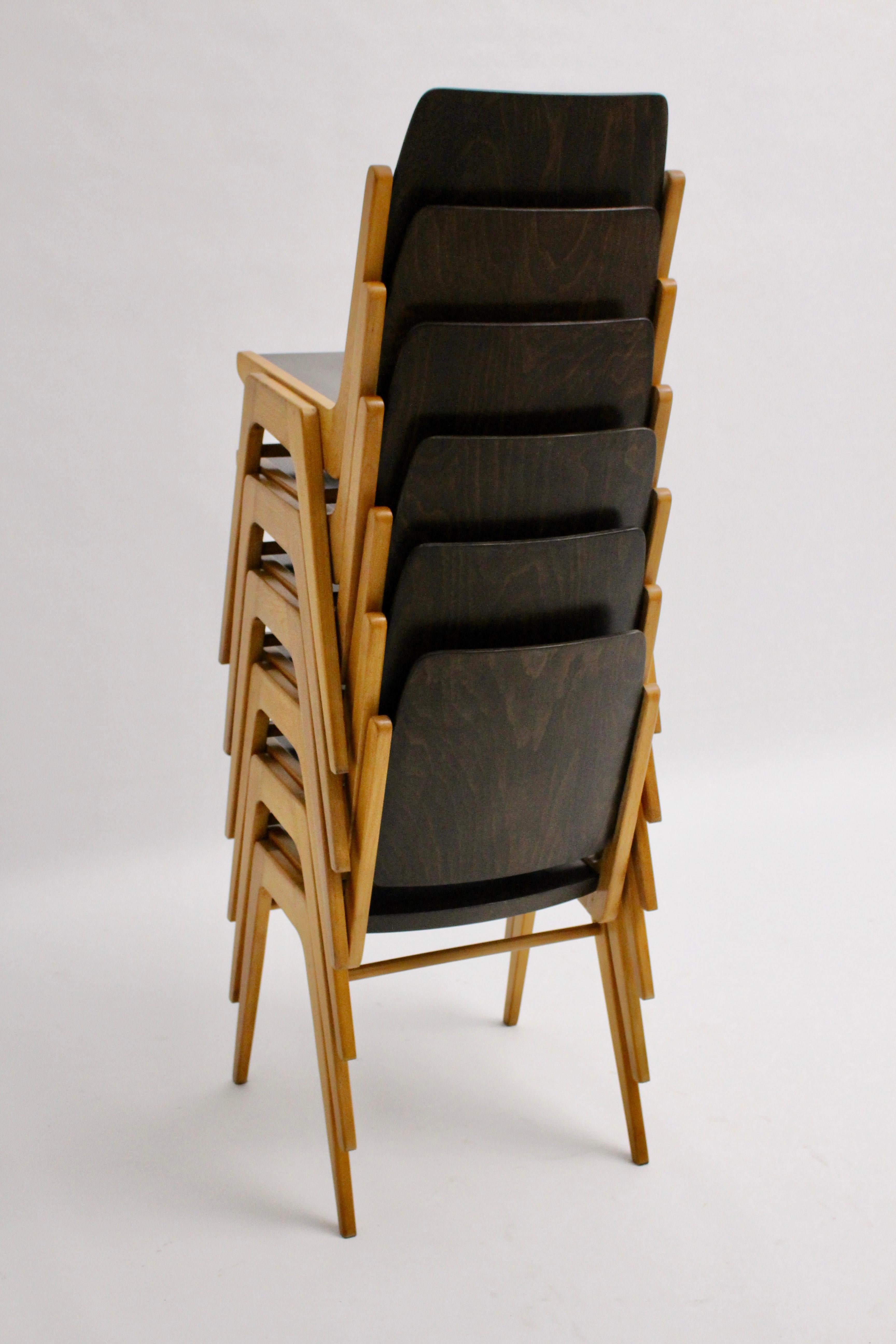 Mid Century Beech Bicolor Beech Four Dining Chairs Franz Schuster In Good Condition In Vienna, AT
