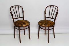 Beige Tiger-Dedar-Samt-Vintage-Stuhl aus der Mitte des Jahrhunderts, Fameg Factory, Polen, 1960er Jahre