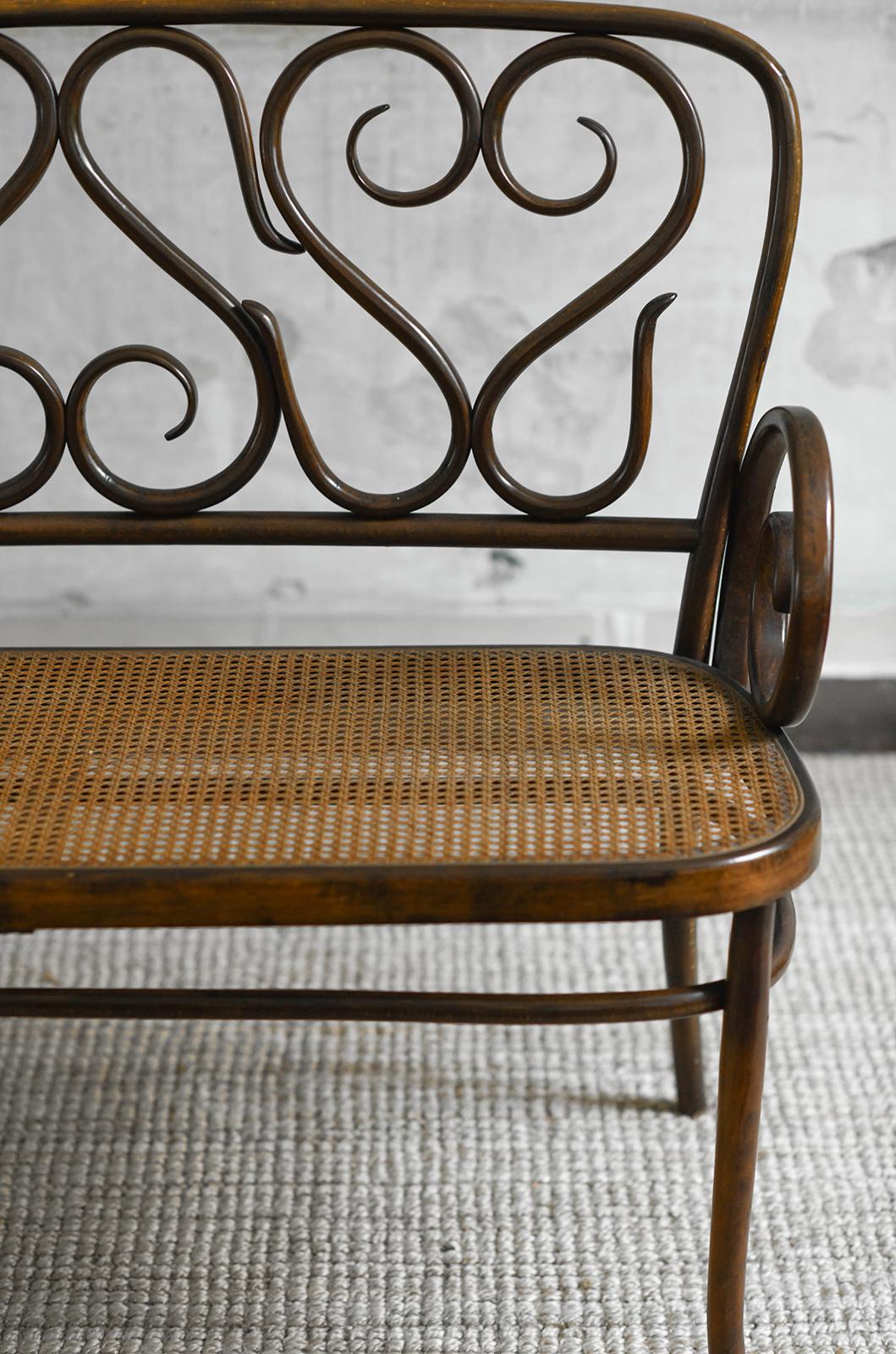 Banc du milieu du siècle dans le style de Thonet en vente 2