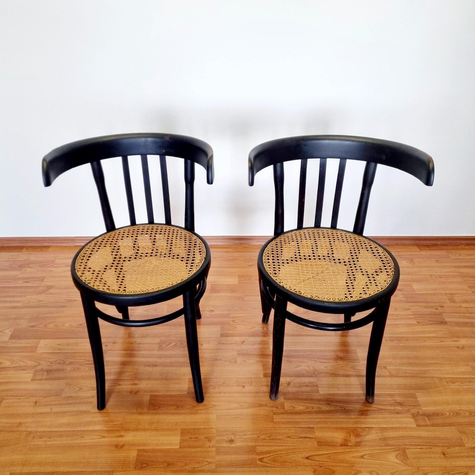 Art Nouveau Mid Century Bentwood Chairs, Thonet Style, Italy 50s, Pair For Sale