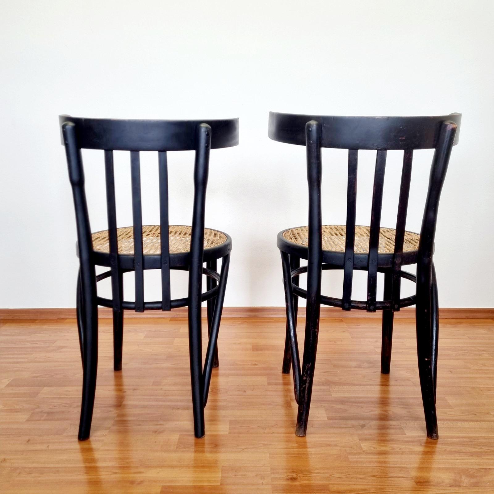 Italian Mid Century Bentwood Chairs, Thonet Style, Italy 50s, Pair For Sale