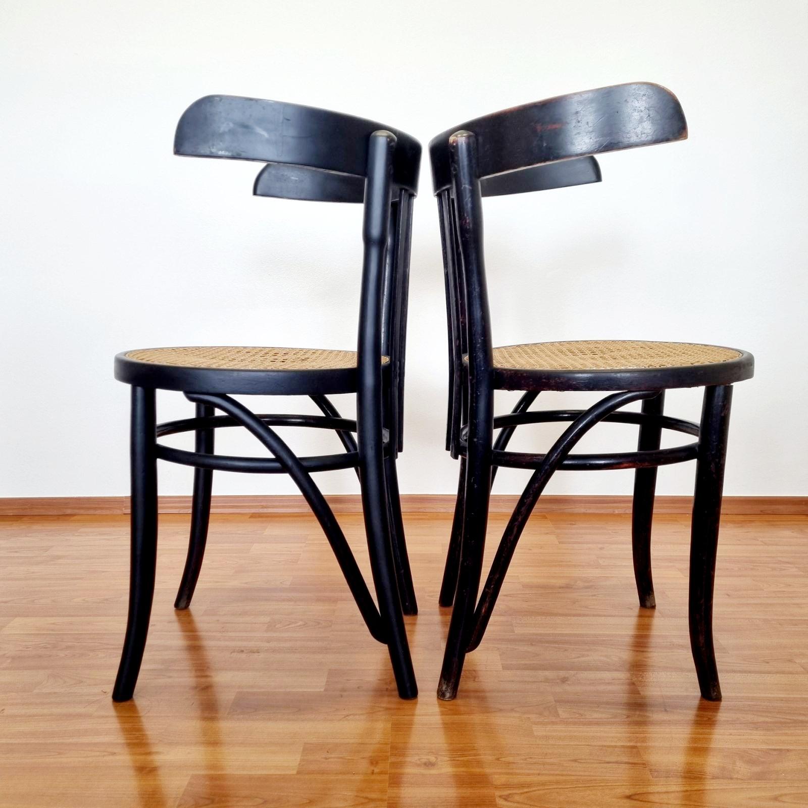 Early 20th Century Mid Century Bentwood Chairs, Thonet Style, Italy 50s, Pair For Sale