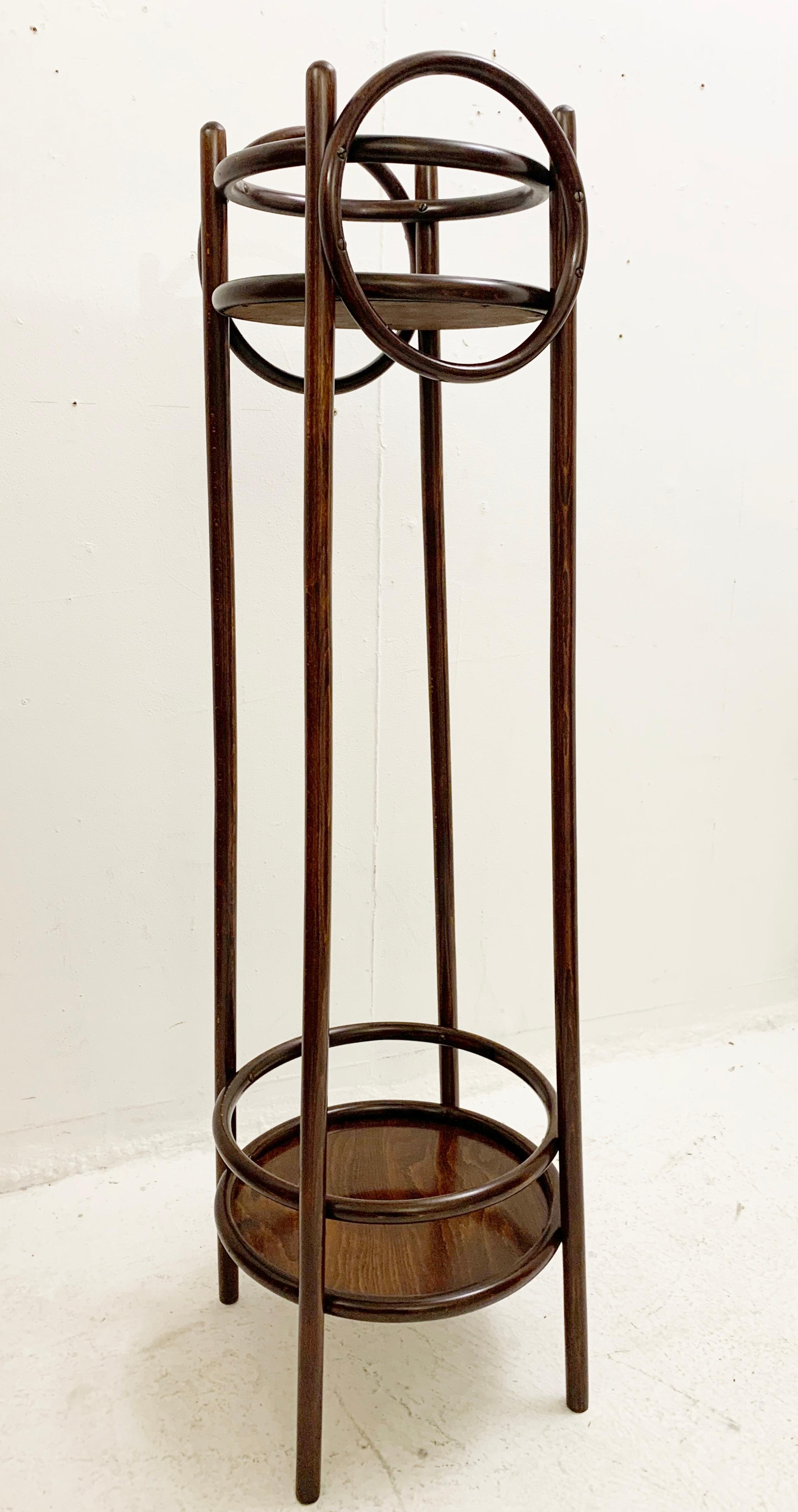 Mid-Century Bentwood Planter, Austria, 1930s In Good Condition For Sale In Brussels, BE
