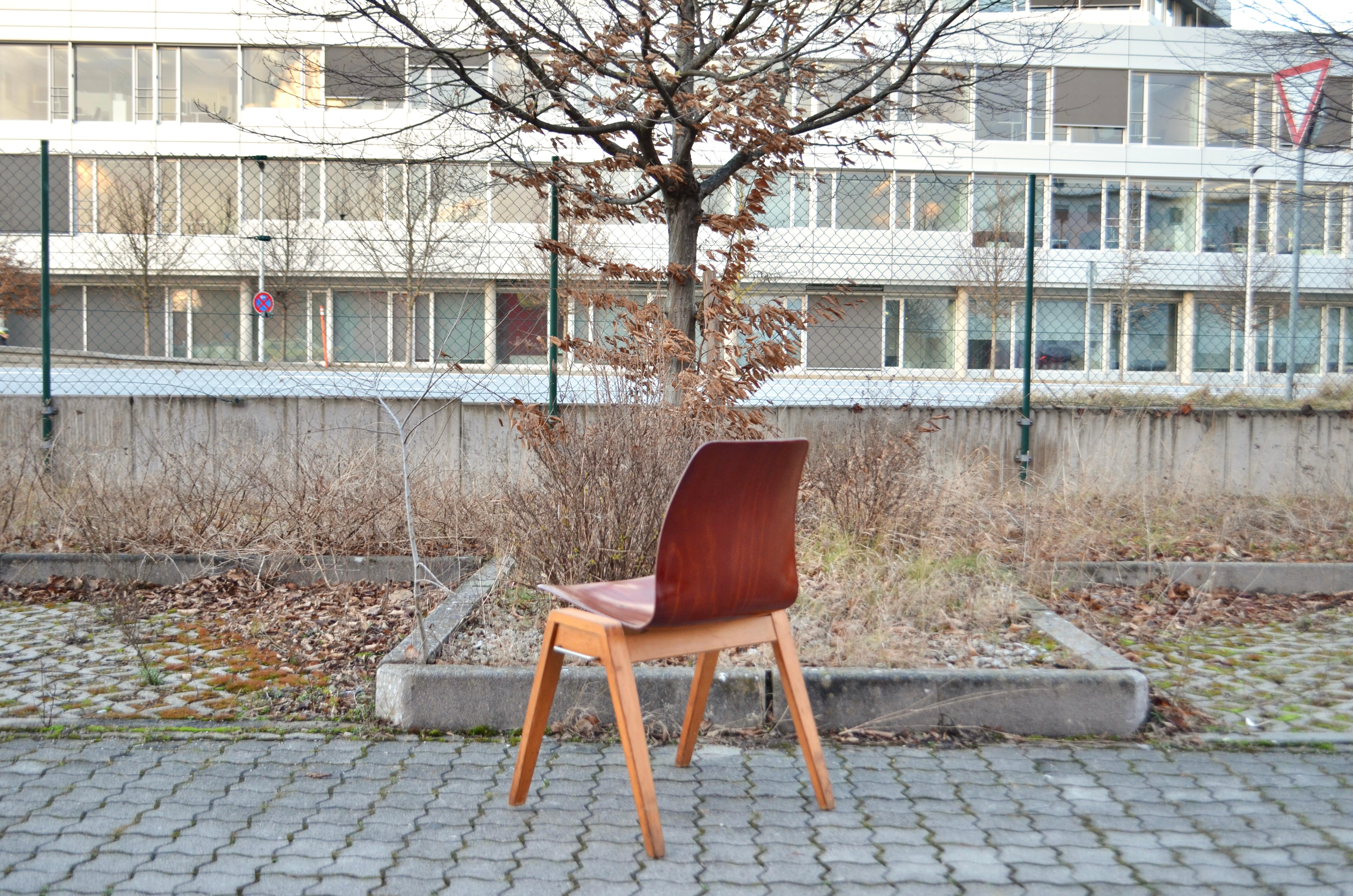 Set von 4 Stapelbaren Sperrholzstühlen aus Bugholz von Royal Germany aus der Mitte des Jahrhunderts im Angebot 3