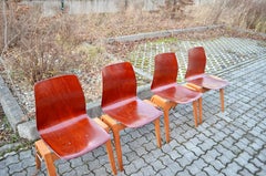 Mid-Century Bentwood Plywood Chairs Stackable by Royal Germany Set of 4