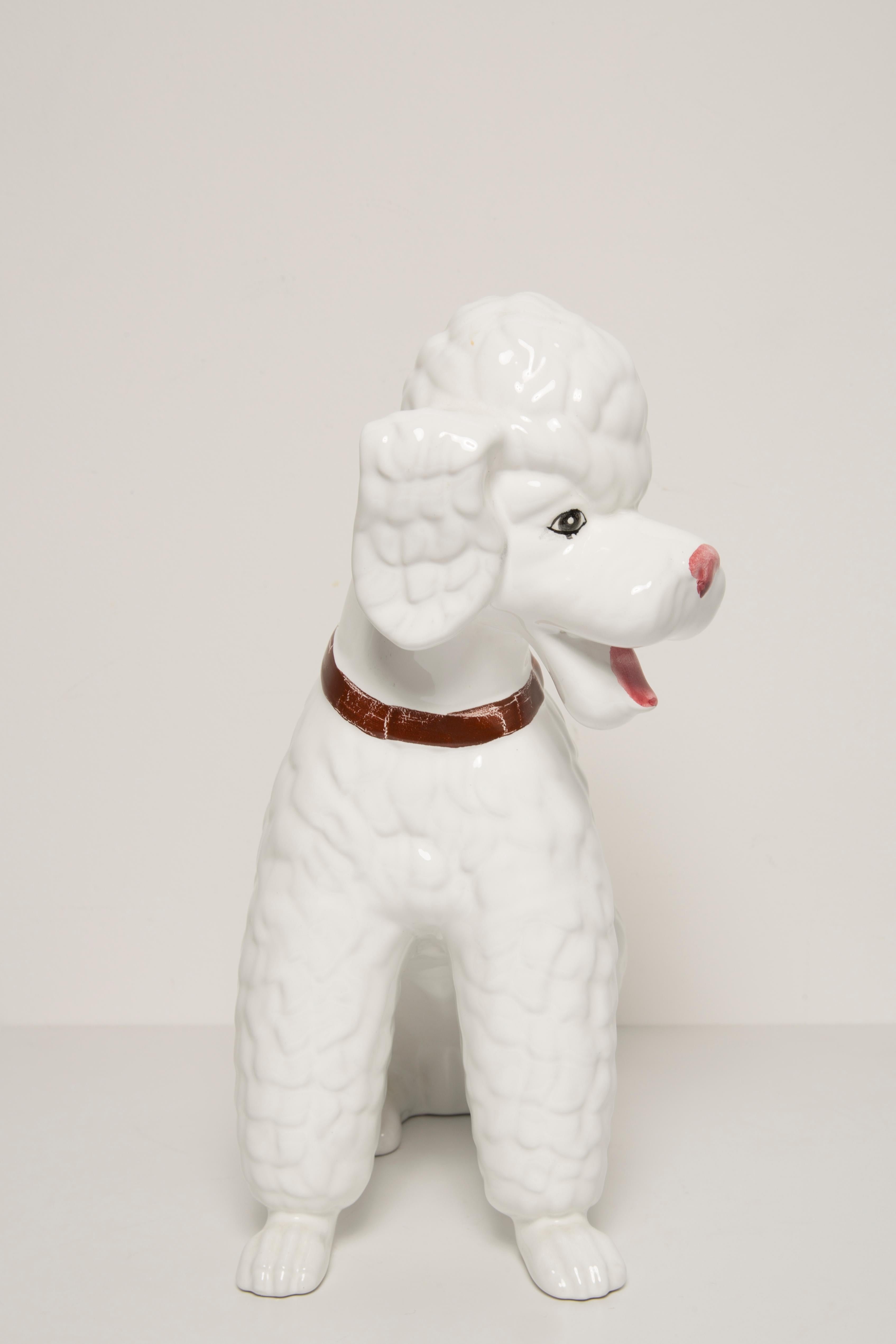 Big King Weiße Pudel-Hunde-Skulptur aus der Mitte des Jahrhunderts, Italien, 1960er Jahre (Italienisch) im Angebot