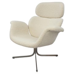 Silla Mid Century Big Tulip de Pierre Paulin para Artifort, años 60