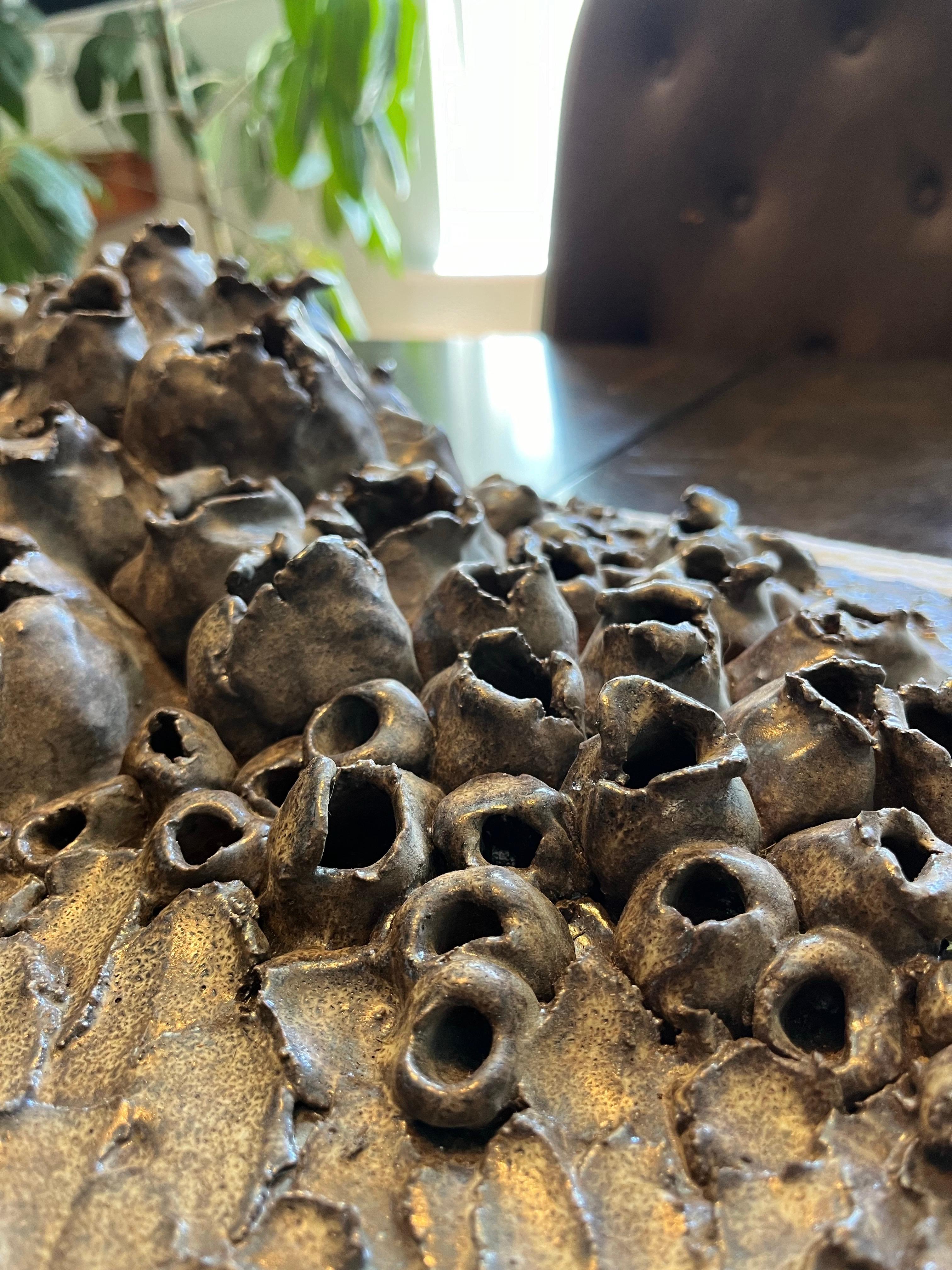 Biomorphe Töpferware aus der Mitte des Jahrhunderts Korallenriff (Töpferwaren) im Angebot