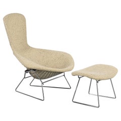 Mid-Century Bird by Harry Bertoia for Knoll, circa 1952