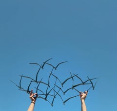 Mid-Century Bird in Flight Wall Sculpture by Curtis Jere