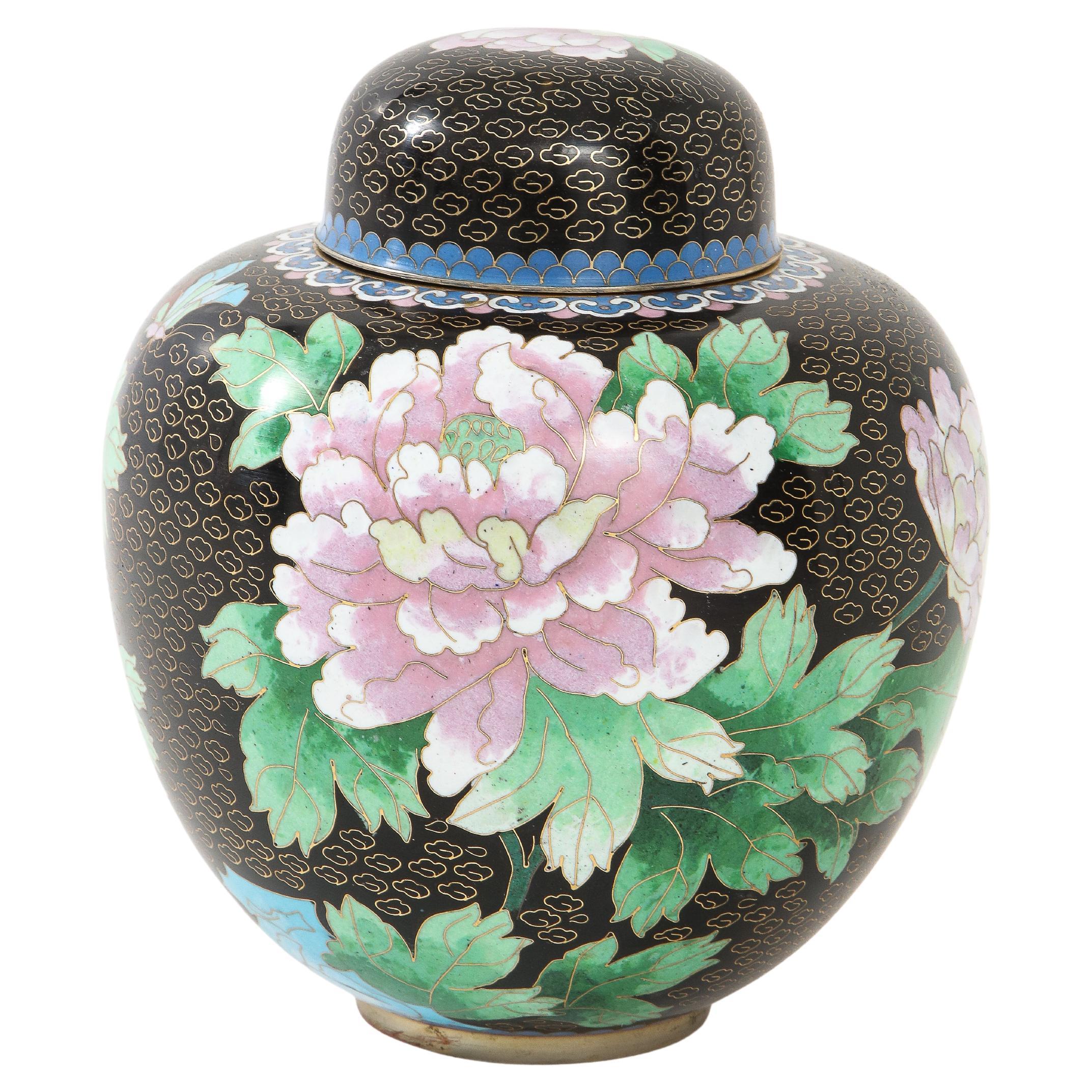 Barattolo per lo zenzero in cloisonne nero di metà secolo in vendita
