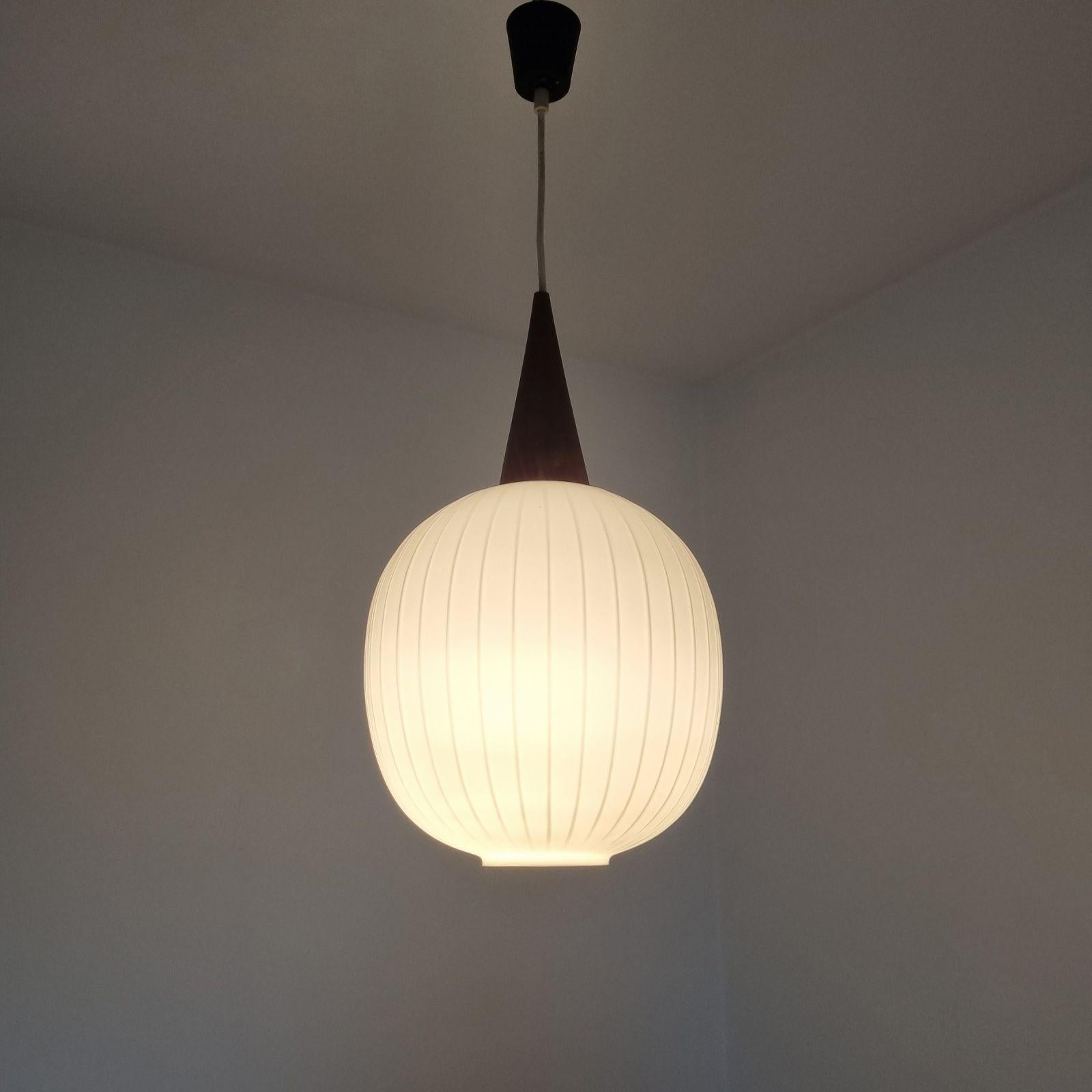 Mid Century Bologna Pendant Lamp by Aloys Gangkofner for Peill & Putzler, 60s For Sale 3