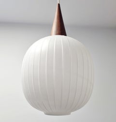 Mid Century Bologna Pendant Lamp by Aloys Gangkofner for Peill & Putzler, 60s