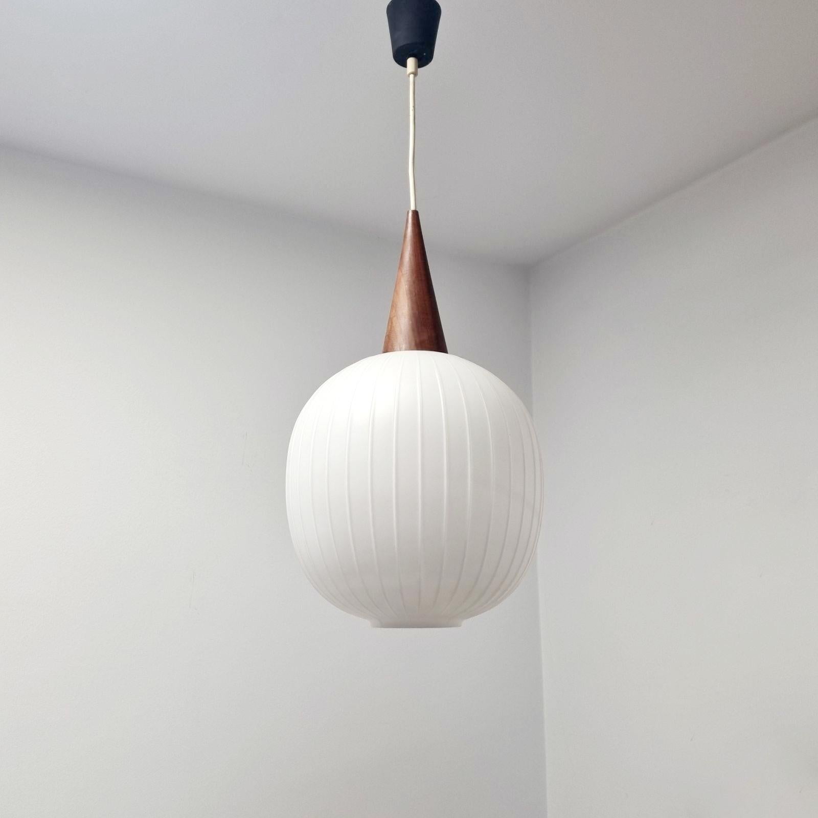 Mid-20th Century Mid Century Bologna Pendant Lamp by Aloys Gangkofner for Peill & Putzler, 60s For Sale