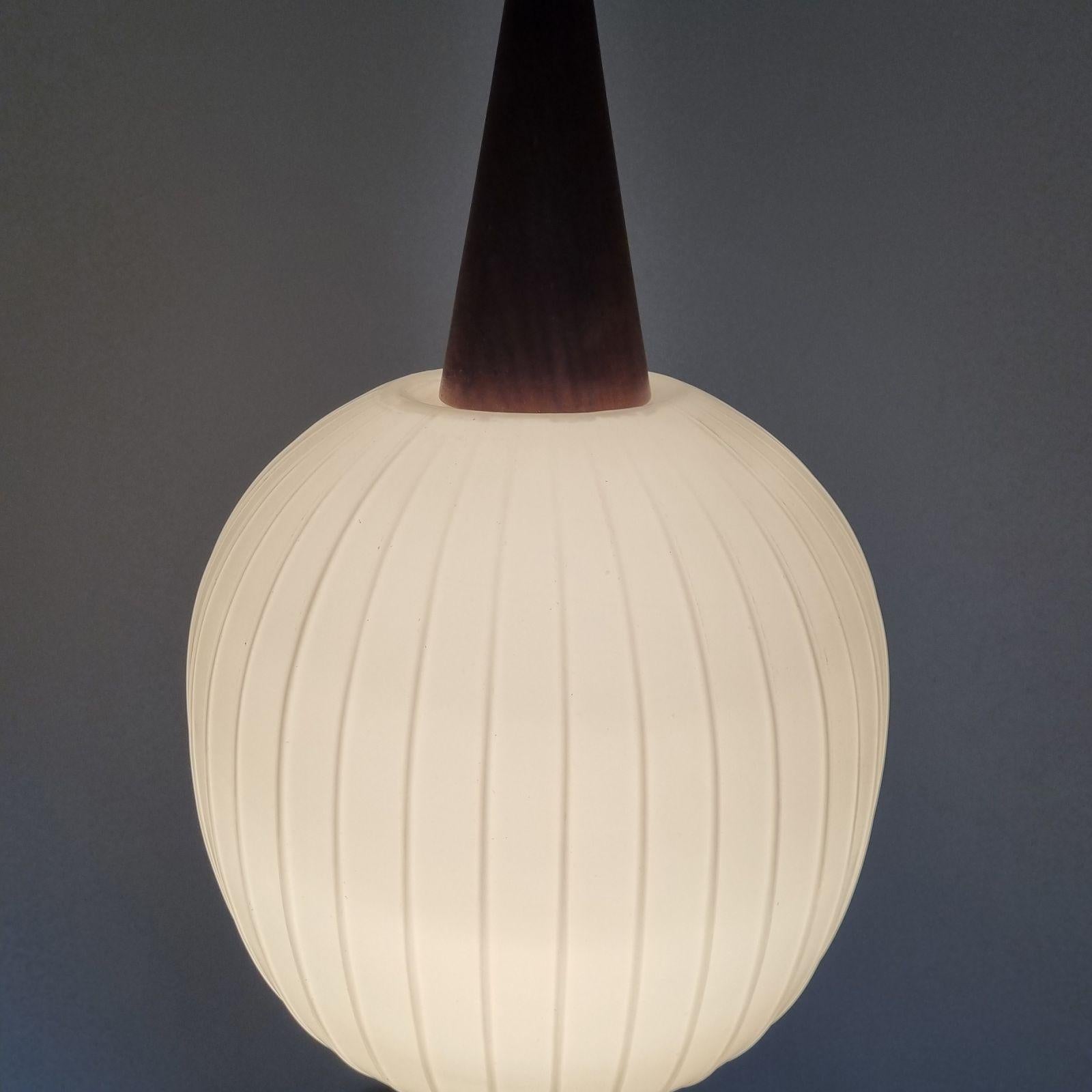 Mid Century Bologna Pendant Lamp by Aloys Gangkofner for Peill & Putzler, 60s For Sale 2