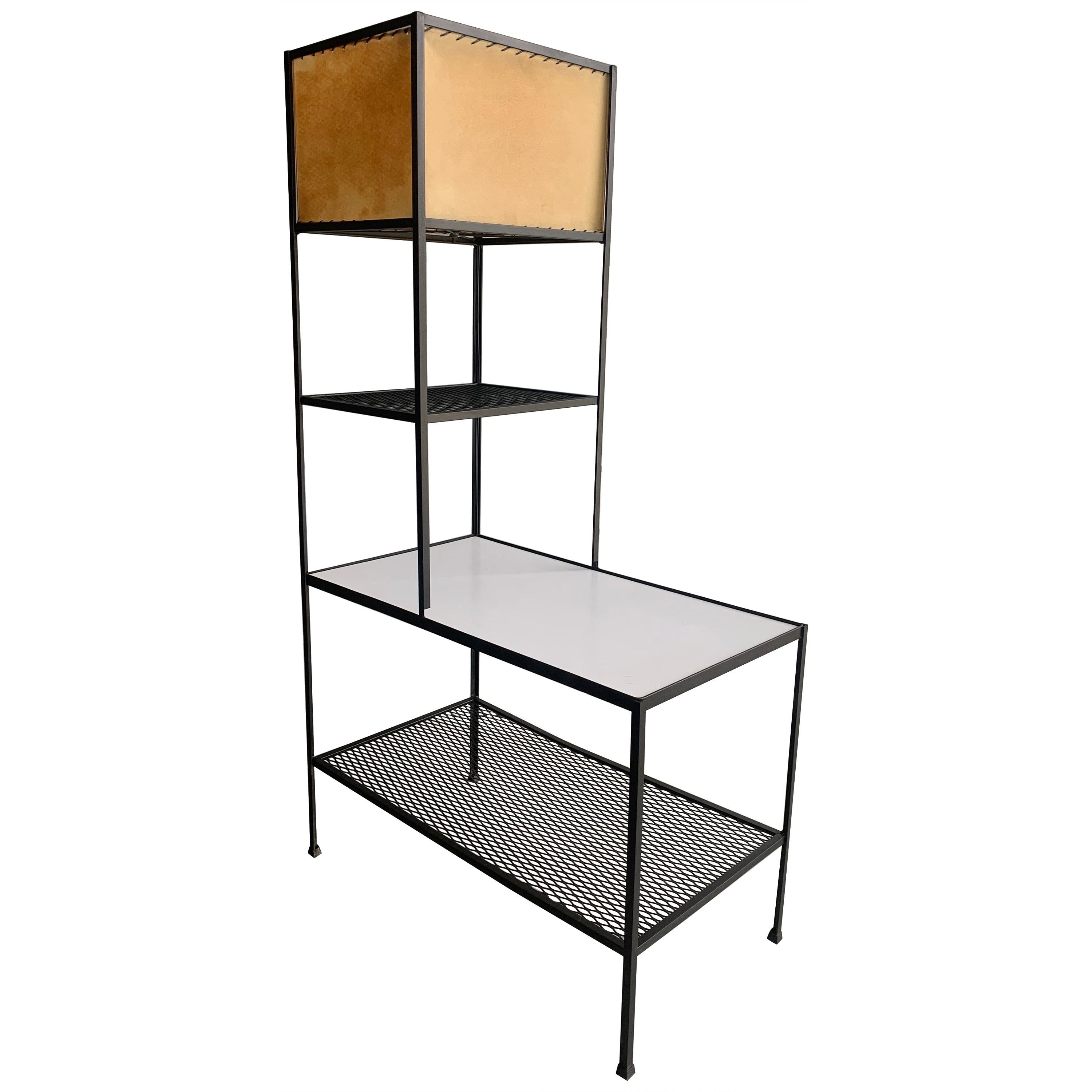 Mid Century Bookshelf Display Cabinet and Lamp by Frederick Weinberg in Iron