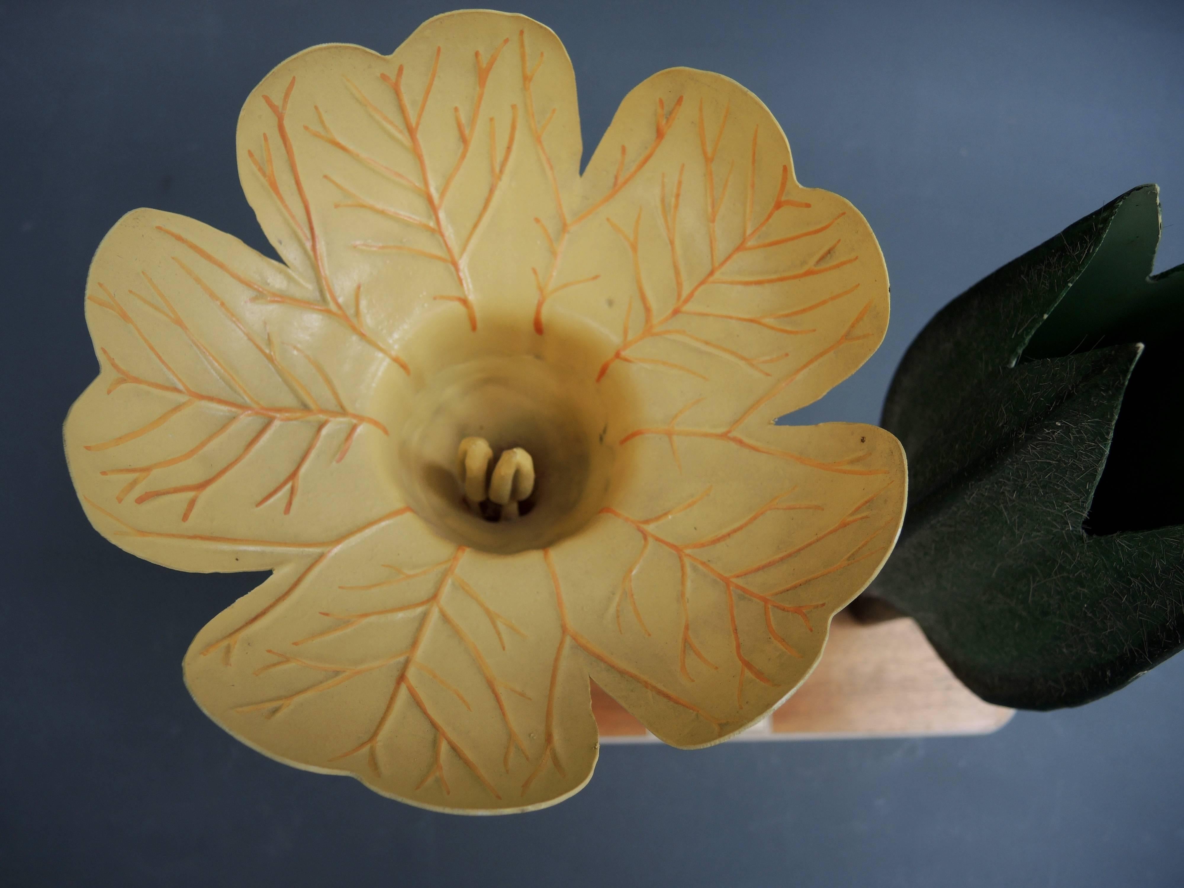 This is a Belgian midcentury teaching model of Primula Veris, commonly known as a cowslip primrose. Constructed is a thin molded synthetic with clear fiberglass textures on the leaves. Because of the brittle nature of midcentury plastics when