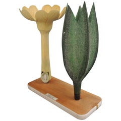 Mid-Century Botanic Scientific Model of a Primrose Plant